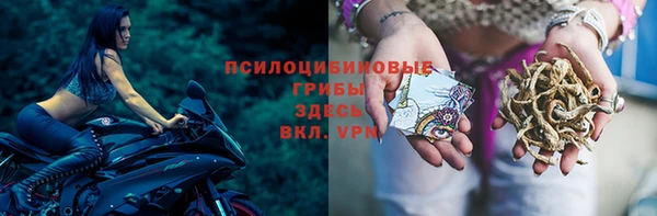 мет Бородино