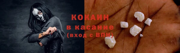мет Бородино