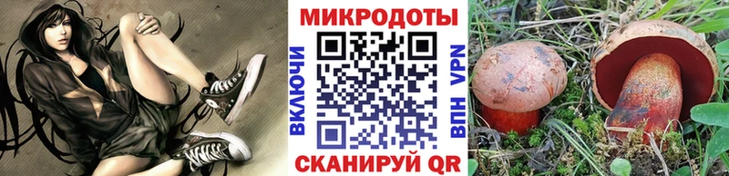 МЕГА зеркало  как найти закладки  Грязовец  Псилоцибиновые грибы Cubensis 